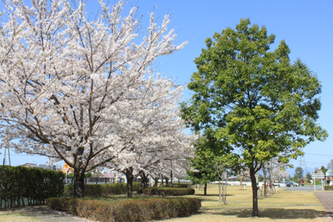 入学式2