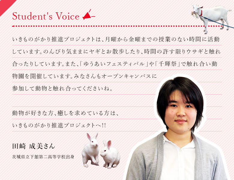 Student's Voice