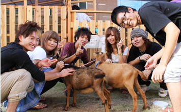 小動物飼育小屋