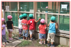 園児見学会